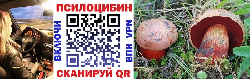 Псилоцибиновые грибы мицелий  Купить  Ахтырский 